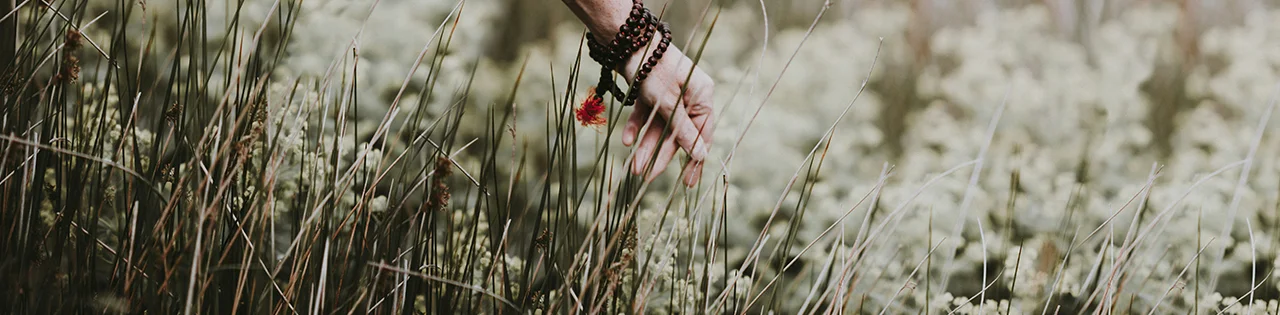 Ηθικά Μάρκες